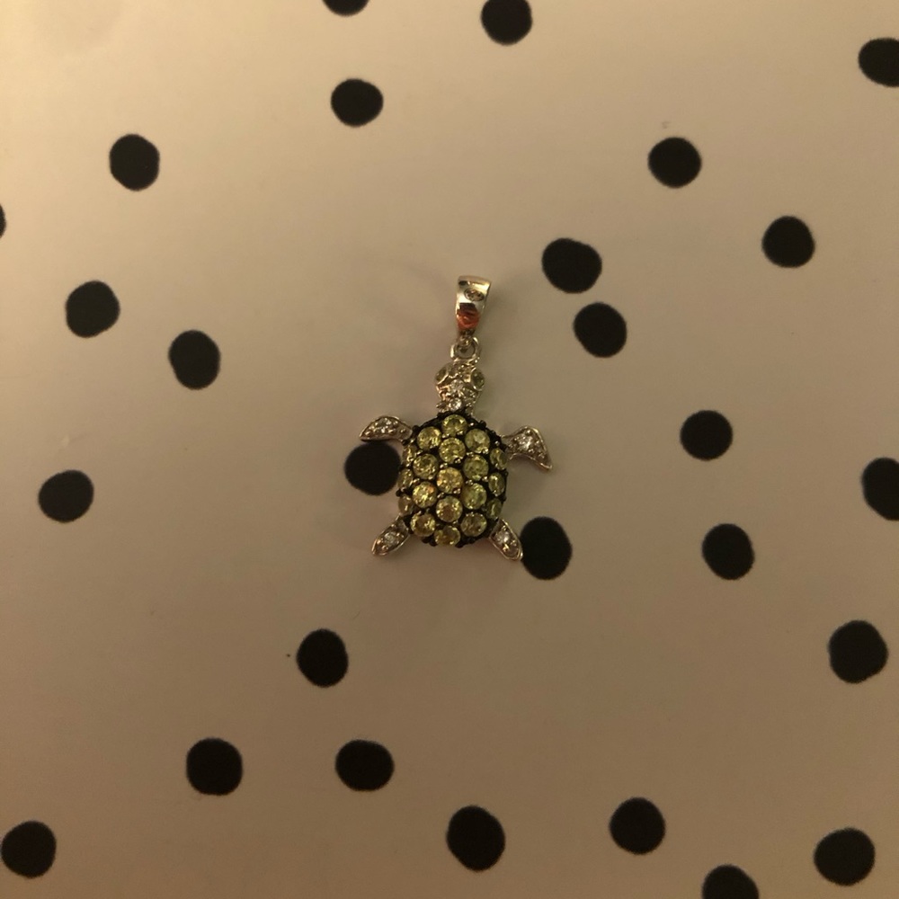 Sterling silver necklace charm